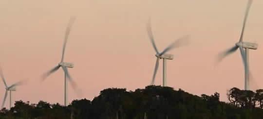 Conducción Segura y Ecológica